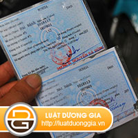 phai-lam-gi-khi-mua-phai-xe-may-do-an-trom-ma-co.jpg