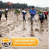 phuong-an-ung-pho-thien-tai-bao-gom-nhung-noi-dung-gi