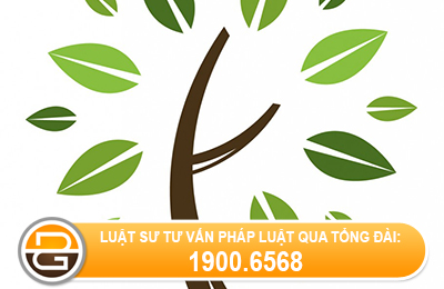 quy-dinh-cua-phap-luat-ve-nhan-xanh-viet-nam