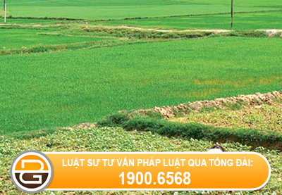 quy-dinh-ve-mien-giam-tien-su-dung-dat-cua-du-an