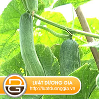 Quy định xây dựng tiêu chuẩn và quy chuẩn kỹ thuật