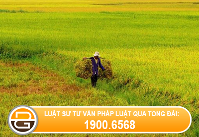 quy-trinh-chuyen-doi-muc-dich-su-dung-dat