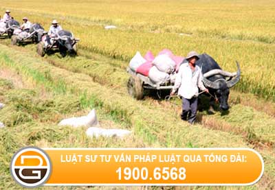 so-huu-dat-dai-thoi-ky-phong-kien%282%29