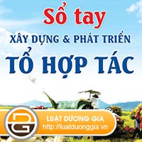 so-sanh-cong-ty-hop-danh-va-to-hop-tac.jpg