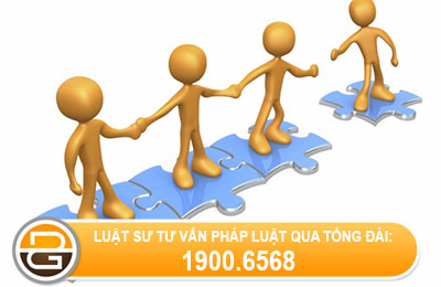 su-lien-ket-trong-mo-hinh-nhom-cong-ty