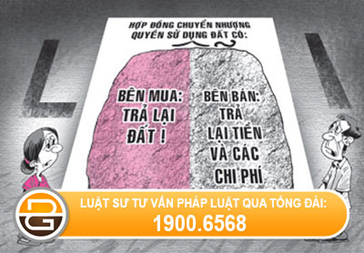 thay-doi-loai-hop-dong-lao-dong.jpg