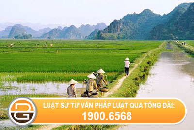 thu-tuc-xin-cap-dat-su-dung-muc-dich-nong-nghiep1