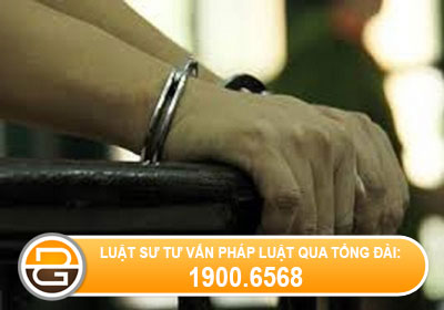 trach-nhiem-hinh-su-doi-voi-hanh-vi-trom-cap-chua-dat.jpg