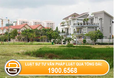 tranh-chap-tuong-rao-tren-dat1