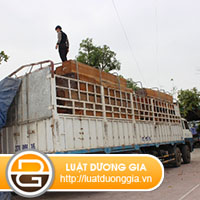 trong-tai-cho-phep-doi-voi-Duong-cap-6.jpg