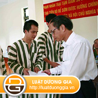 truong-hop-nao-thi-duoc-giam-an-trong-bo-luat-hinh-su