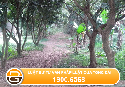 tu-van-phap-luat-ve-tranh-chap-dat-dai%281%29