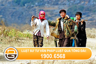vi-pham-ve-viec-thue-lai-nguoi-lao-dong