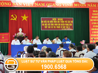 vo-chong-co-the-cung-ung-cu-dai-bieu-hoi-dong-nhan-dan1