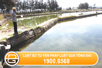 xa-nuoc-thai-xuong-ao-nha-nguoi-khac1