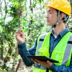 Tội vi phạm quy định về quản lý rừng theo Điều 233 BLHS