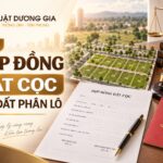 Mẫu hợp đồng đặt cọc mua đất phân lô mới nhất