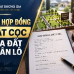 Mẫu hợp đồng đặt cọc mua đất phân lô mới nhất