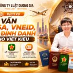 Dịch vụ tư vấn Visa, VNEID, mã định danh cho Việt kiều