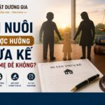 Con nuôi có được hưởng thừa kế từ cha mẹ đẻ không?