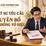 Luật sư yêu cầu tuyên bố hợp đồng dân sự vô hiệu