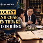 Luật sư giải quyết tranh chấp quyền thừa kế của con riêng