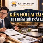 Luật sư khởi kiện đòi lại tài sản bị chiếm giữ trái luật