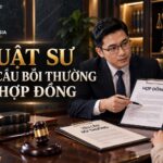 Luật sư yêu cầu phạt vi phạm và bồi thường hợp đồng